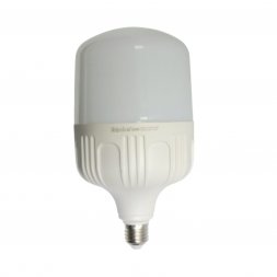 R-50R-WW - 50W LED LAMP WARMWHITE
